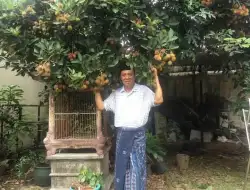Mantan Waka PBNU KH. As’ad Said Ali Penuh Inspirasi tentang Keindahan Alam
